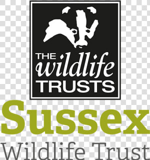 Sussex Wildlife Trust Logo  HD Png Download