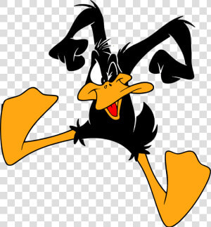 Daffy Duck Cartoon Character  Daffy Duck Characters    Daffy Duck  HD Png Download