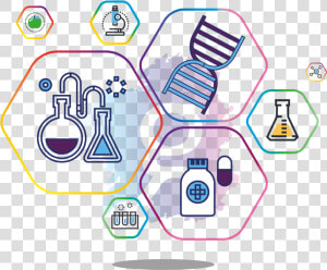 Biotechnology Png  Transparent Png