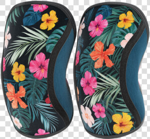 Assassins Knee Sleeves  tropic   Flip flops  HD Png Download