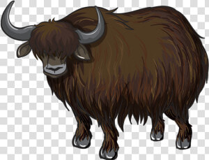 Drawn Ox Clip   Yak Clipart Png  Transparent Png