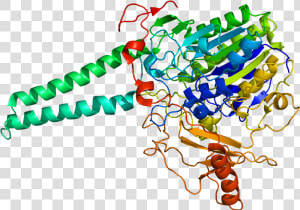 Protein Sts Pdb 1p49   Steroid Sulfatase  HD Png Download