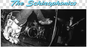 Schizophonics Ooga Booga  HD Png Download