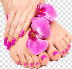 Image Description   Hand And Foot Beauty  HD Png Download