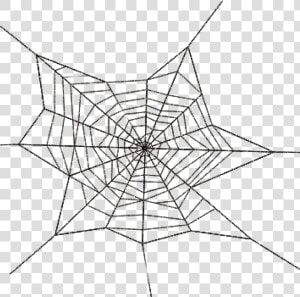 Spider Web Png Bear Clipart Hatenylo   Spider Web Transparent Png  Png Download