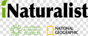 National Geographic Logo Png  Transparent Png