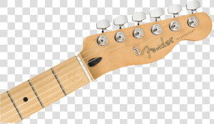 American Performer Telecaster Hum   Png Download   Player Telecaster Headstock  Transparent Png