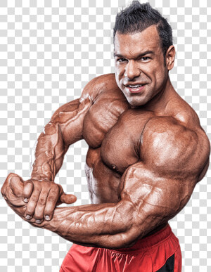 Bodybuilding Png   Bicep Split  Transparent Png