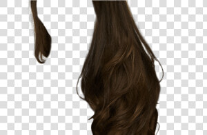 Hair Png Web Icons Png   Hair Extensions Png  Transparent Png