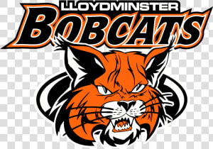 Lloydminster Bobcats Logo Png   Buchholz High School Logo  Transparent Png