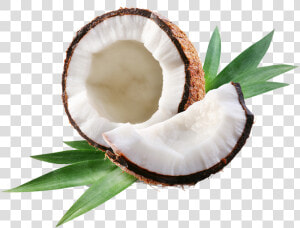 Clip Art Royalty Free Why We Break Coconuts   Coconut Oil Png  Transparent Png