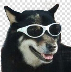  dog  meme  funny  puppy  sunglasses  freetoedit   Dog Meme Png  Transparent Png