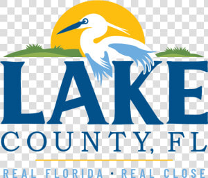 Lake County  Fl   Lake County Fl Logo  HD Png Download