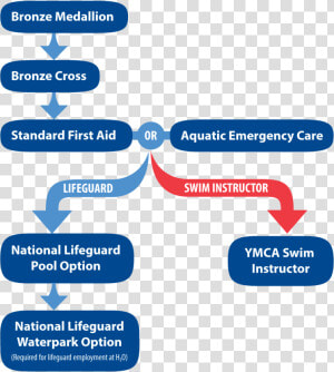 Steps To Become A Lifeguard Or Swim Instructor   Become A Lifeguard In Canada  HD Png Download