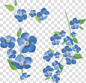 Clip Art Forget Me Not Background   Free Forget Me Not Clipart  HD Png Download