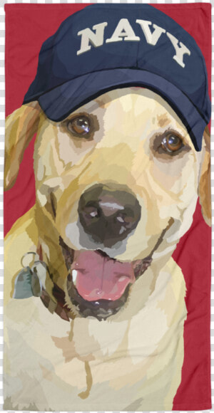 Lady Liberty The Yellow Lab With Army Hat   Labrador Army  HD Png Download