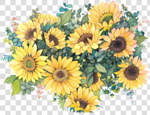  flowers  sunflowers🌻💛🌻  sunflowers  aesthetictumblr   Sunflower Watercolor Png  Transparent Png