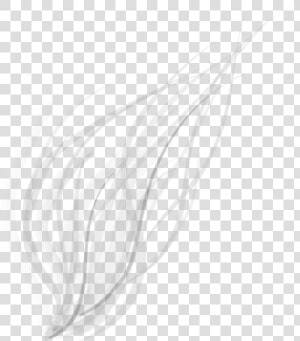 Abstract Lines Png Transparent Image   Abstract Lines White Png  Png Download