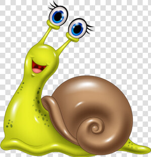 Mollusc Clipart Grape   Sea Snail Clipart  HD Png Download