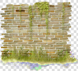  ftestickers  garden  grass  ivy  wall  brick   Mur Png  Transparent Png