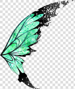 Butterfly Butterflywings Wings Angel Angelwings Wing   Transparent Fairy Wings Png  Png Download