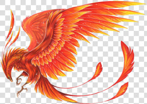 Mythical Creature Phoenix Drawing  HD Png Download