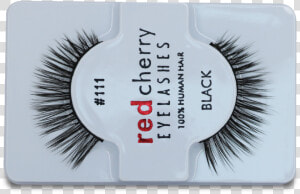 Eye Lashes Png  Transparent Png