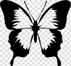 Butterfly Black Butterfly Images Black And White Free   Butterfly Clip Art  HD Png Download