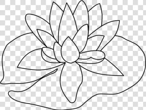 Lily Pad Flower Png Black And White   Lily Pad Drawing Easy  Transparent Png