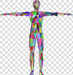 Transparent Human Body Png   Human Body Anatomy Clipart  Png Download