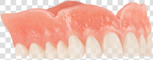 Comfilytes Dentures Reviews  HD Png Download