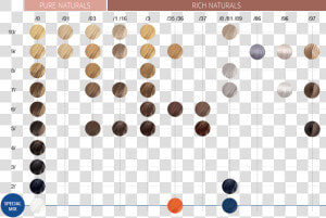 Wella Color Touch Palette  HD Png Download