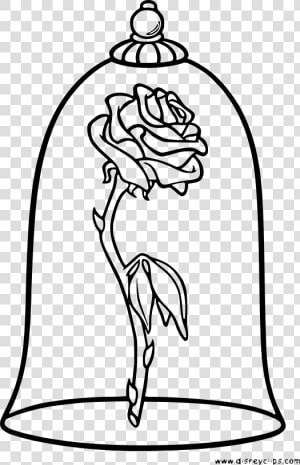 Enchanted Rose Beauty And The Beast Drawing  HD Png Download