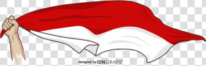 Logo Bendera Indonesia Png  Transparent Png