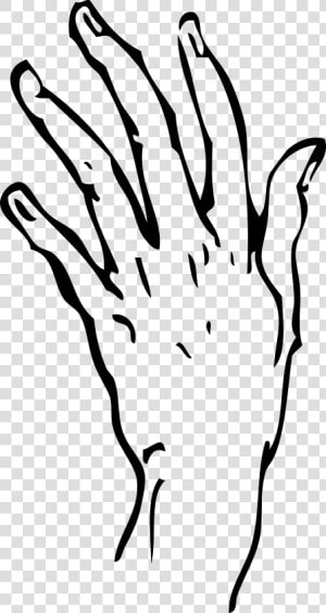 Handprint Drawing Transparent   Transparent Left Hand  HD Png Download