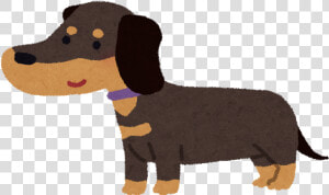 Dachshund Dog Breed Puppy Cat Black  amp  Gold   ミニチュア ダックス フント 黒 イラスト  HD Png Download