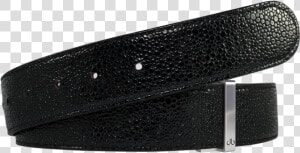 Shiny Black Stingray Textured Leather Belt   Stingray Belt  HD Png Download