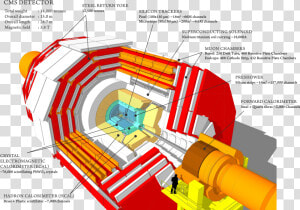 Cms Detector Cern  HD Png Download