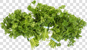 Parsley  HD Png Download