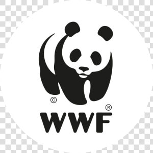 Wwf Logo Beled   Wwf Logo  HD Png Download