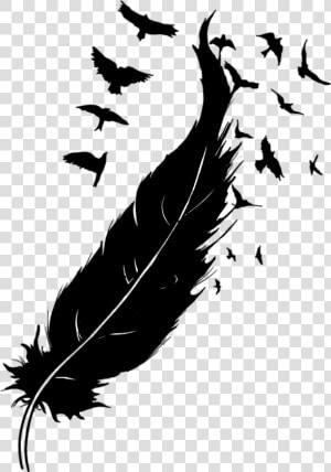  stickers  blackandwhite  feathers  birds  flying  love   Feather With Birds Drawing  HD Png Download