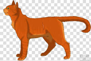 Fireheart Warrior Cats Png  Transparent Png