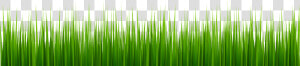 Grass Png Clip Art   Cartoon Grass Png  Transparent Png