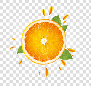 Transparent Orange Png   Clementine  Png Download