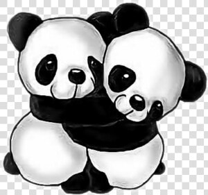 Transparent Hugs Clipart   Panda Hugs  HD Png Download