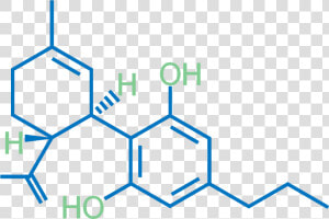 Cannabis Testing  Cannabinoids  Cbd Testing  Cannabis   Cannabis Dna  HD Png Download