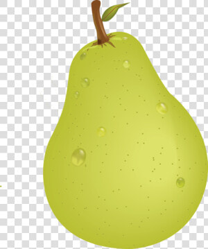 Download Pear Free Png Image   Pear Vector Png  Transparent Png