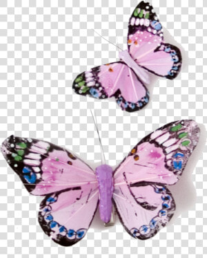 Pink Butterflies Png   Purple Pink Butterflies Transparent  Png Download