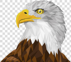 Low Poly Bald Eagle By Sharpi1980   Dibujos De Aguilas A Colores  HD Png Download