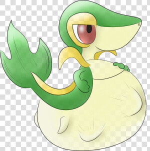 Snivy Belly Snivy Vore   Png Download   Snivy Pokemon Belly  Transparent Png